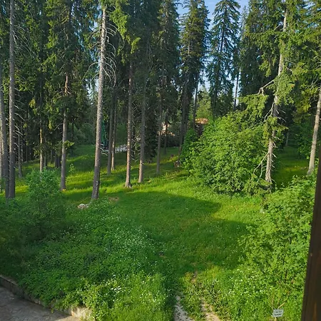 Evrika 4 Pamporovo